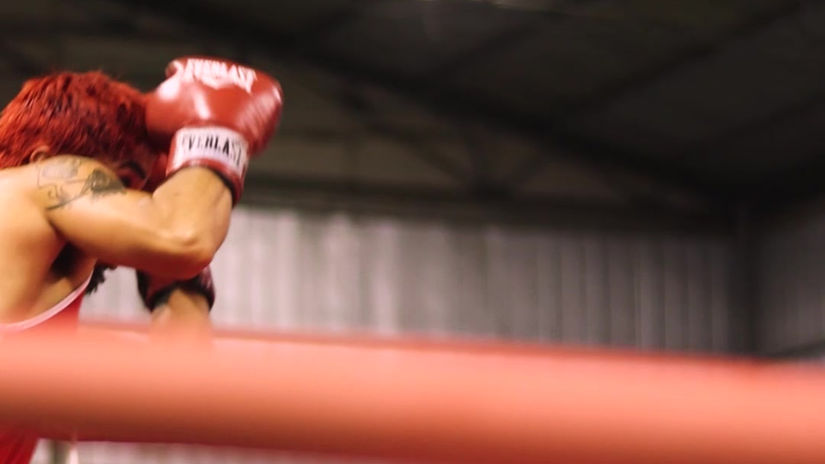 Boxeo Bulls